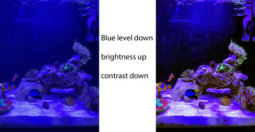 less blue compare.jpg
