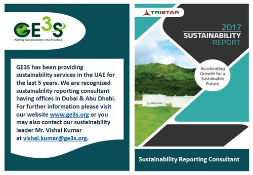 Sustainability Reporting Consultant.jpg