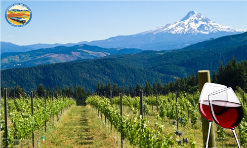 Washington Wine Tours from Seattle - Planning a trip to Washington wine country tours? You've come to the right place. Check out our Washington Wine Tours, Washington Wine Tours from Seattle, Wine Tours Seattle and more. Visit https://www.inquisitours.com/trips/from-seattle-nw-wine-explorer-7-days for more information.