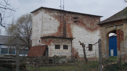 DSCN9351.jpg